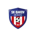 SK Bakov nad Jizerou "B"