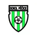 TJ Sokol Pěčice "B"